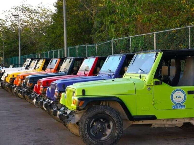 Cozumel: Classic Jeep or Buggy Island Tour to Punta Sur - What Travelers Are Saying