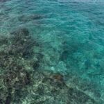 Cozumel: Day at El Cielo Bay - The Small Details That Matter