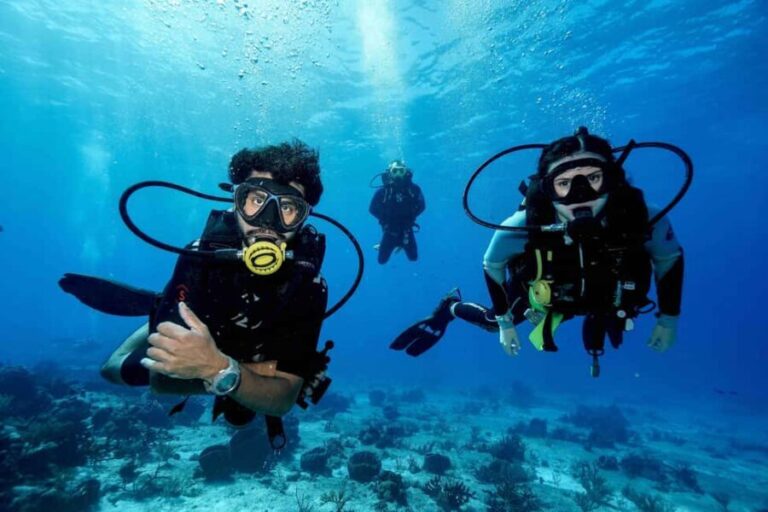 Cozumel: Discovery Scuba Diving. No experience required. - The itinerary explained