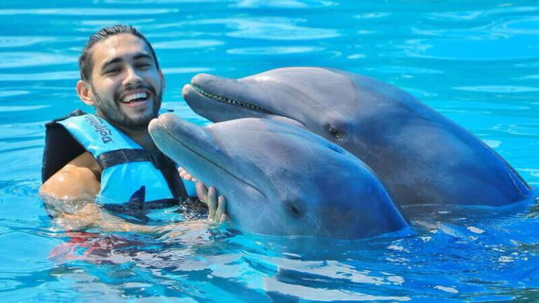 Cozumel: Dolphin Royal Swim and Manatee Interaction - Practical Tips for Your Day