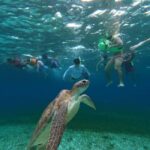 Cozumel, El Cielo: 4-Hour Shared Snorkeling Tour - The Experience from the Viewpoint of Past Travelers
