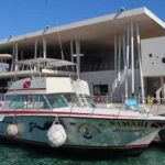 Cozumel: El Cielo & Palancar Snorkel with Open Bar & Ceviche - The Itinerary: What You Can Expect
