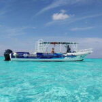 Cozumel El Cielo Sandbar and Reef Snorkeling Tour - The Value for Money