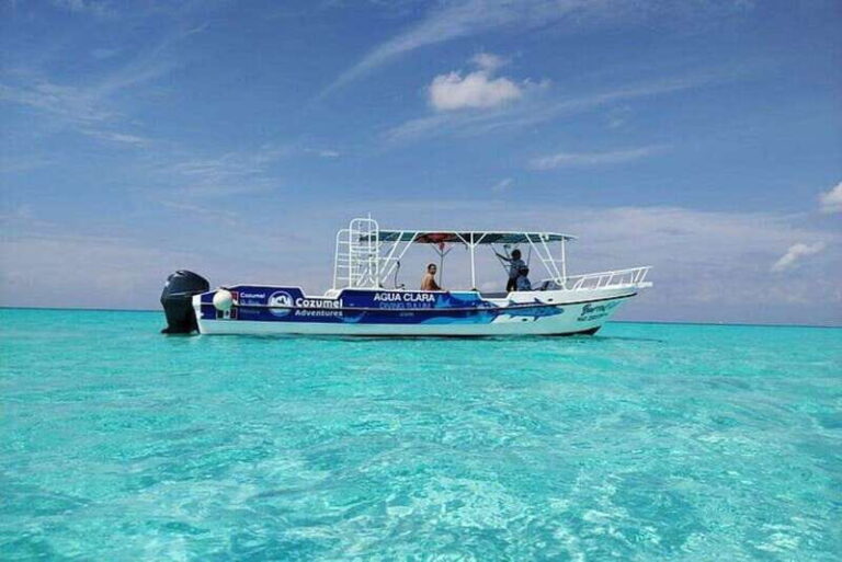 Cozumel El Cielo Sandbar and Reef Snorkeling Tour - The Value for Money