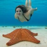 Cozumel El Cielo Snorkeling Tour - The Experience: What You’ll Actually Do