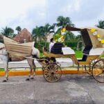 Cozumel: Electric Carriage Tour - Price and Value