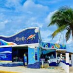 Cozumel EN Submarine Tour from Cancun or Playa del Carmen - The Experience’s Strengths and Considerations