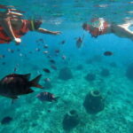 Cozumel: Excursion Crystal Boat Tour with Snorkel & Drinks - Detailed Breakdown of the Itinerary