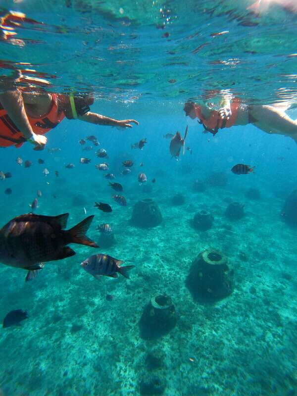 Cozumel: Excursion Crystal Boat Tour with Snorkel & Drinks - Detailed Breakdown of the Itinerary