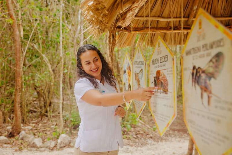 Cozumel: General Entrance to Mayan Bee Sanctuary - Learning about Mayan Honey and Its Significance