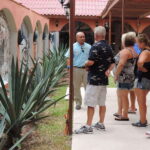 Cozumel: Historical Driving Tour by VW Buggy with Snorkeling - How the Logistics Play Out