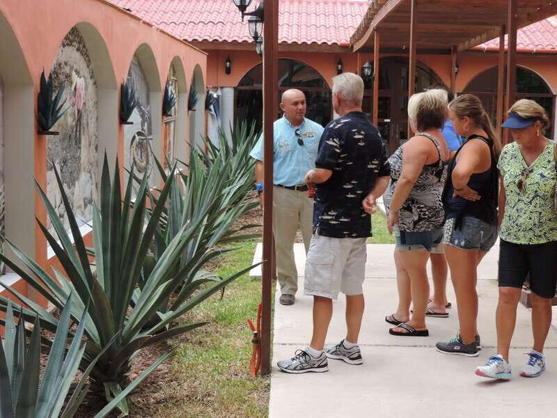 Cozumel: Historical Driving Tour by VW Buggy with Snorkeling - How the Logistics Play Out