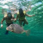 Cozumel Jeep Escape: Punta Sur Park, Jade Cavern & Snorkel - The Value and Practicalities