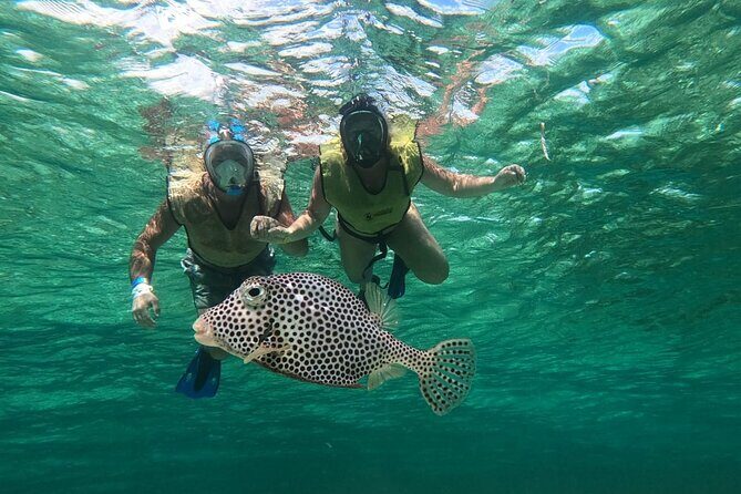 Cozumel Jeep Escape: Punta Sur Park, Jade Cavern & Snorkel - The Value and Practicalities