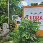 Cozumel Jungle ATV Tour Adventure and Caverns with transfer - Real Traveler Insights