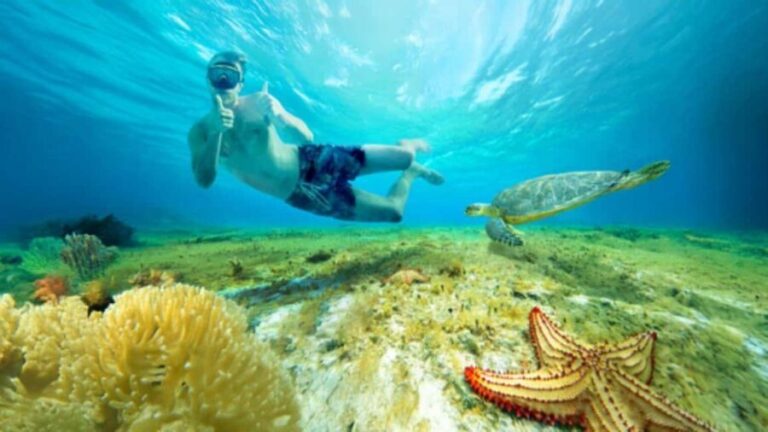 Cozumel, KUZÁ Beach & Adventure Park Deluxe Pass & El Cielo - Who Will Love This Tour?