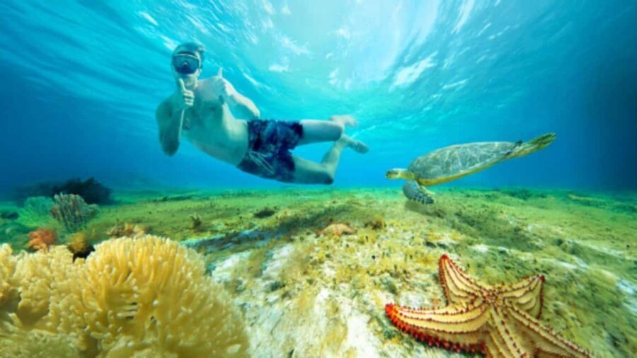 Cozumel, KUZÁ Beach & Adventure Park Deluxe Pass & El Cielo - Who Will Love This Tour?