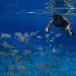 Cozumel Luxury Sailing & Snorkeling with Lunch and Open Bar Onboard - What the Reviews Say