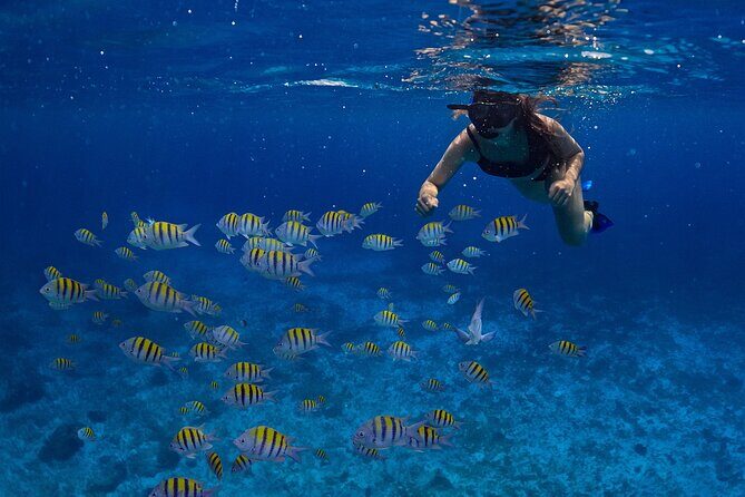 Cozumel Luxury Sailing & Snorkeling with Lunch and Open Bar Onboard - What the Reviews Say