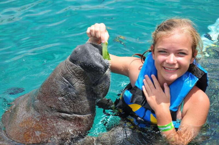 Cozumel: Manatee Encounter, Chankanaab Admission and Buffet - The Value of the Tour
