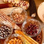 Cozumel Mayan Cultural Show: Dances, tastings & explore - Who Is This Tour Best Suited For?