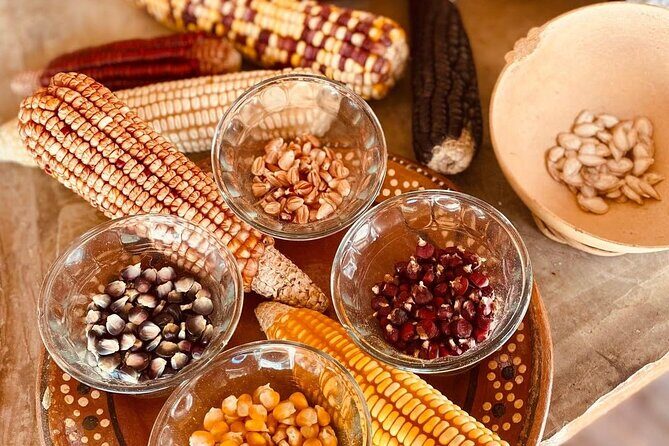 Cozumel Mayan Cultural Show: Dances, tastings & explore - Who Is This Tour Best Suited For?