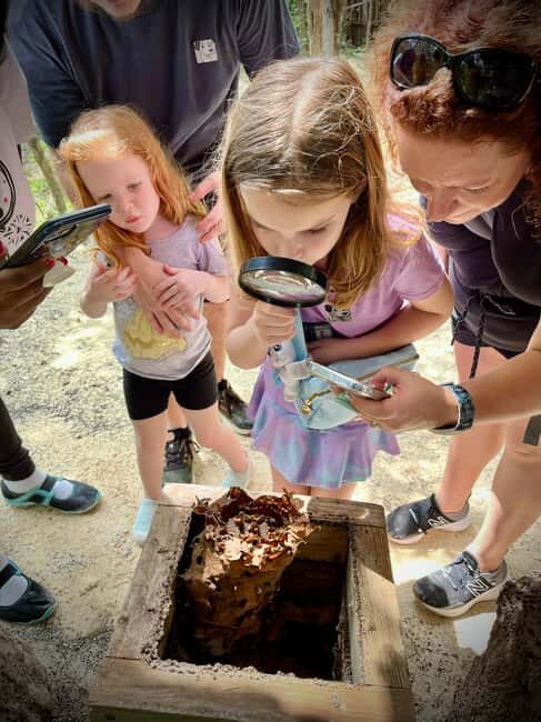 Cozumel: Mayan Roots and Local Tastes Guided Tour - Final Thoughts