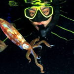 Cozumel: Night Snorkel Adventure - Starting Point: The Money Bar