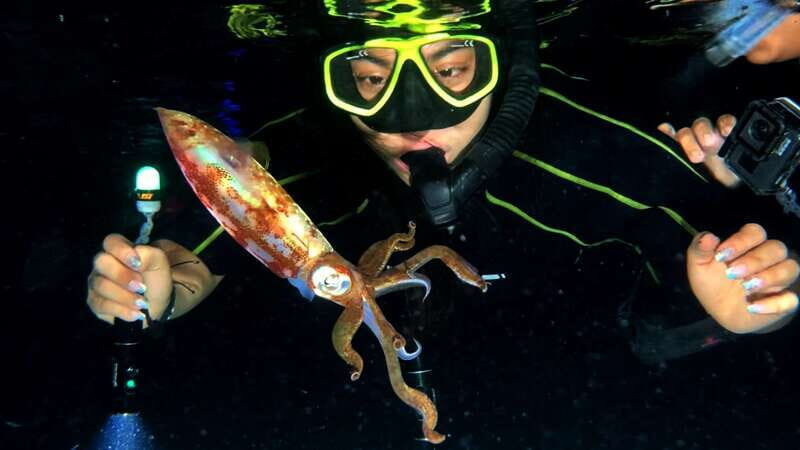 Cozumel: Night Snorkel Adventure - Starting Point: The Money Bar