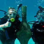 Cozumel: One Tank Scuba Dive and Full Chankanaab Park Access - The Itinerary in Detail