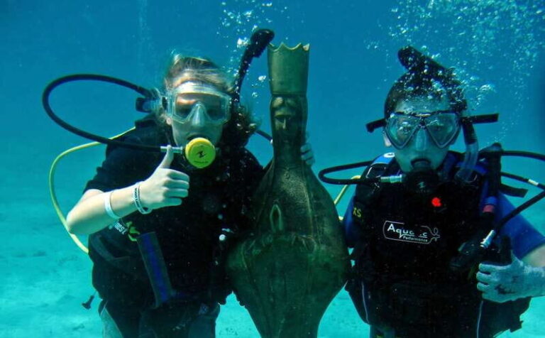 Cozumel: One Tank Scuba Dive and Full Chankanaab Park Access - The Itinerary in Detail