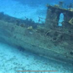 Cozumel, Passion Island: 4-Hour Private Tour - Details That Matter