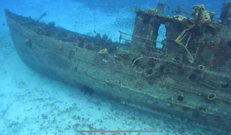 Cozumel, Passion Island: 4-Hour Private Tour - Details That Matter