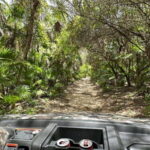 Cozumel: Private All Terrain Buggy Adventure at Virgin Beach - What You Can Expect from the Tour