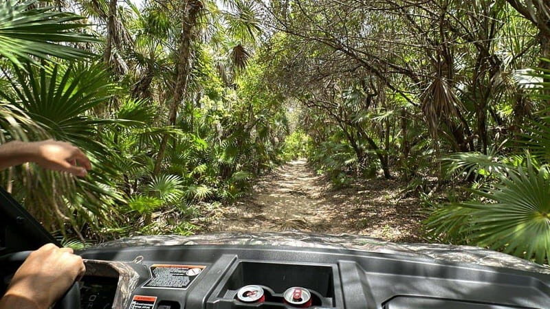 Cozumel: Private All Terrain Buggy Adventure at Virgin Beach - What You Can Expect from the Tour
