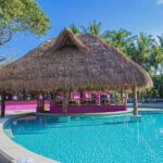 Cozumel Private Beach Pass: All Inclusive Beach Day - Who Would Love This Experience?