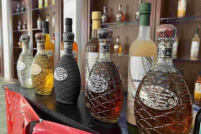 Cozumel Private Island Tour - What the Reviews Say