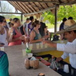 Cozumel: Private Jeep Tour Shore Excursion - The Practical Side: Timing, Transportation, and Cost