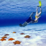 Cozumel: Private Snorkel Tour El Cielo + 3 Reefs Food Drinks - Who Will Love This Tour?