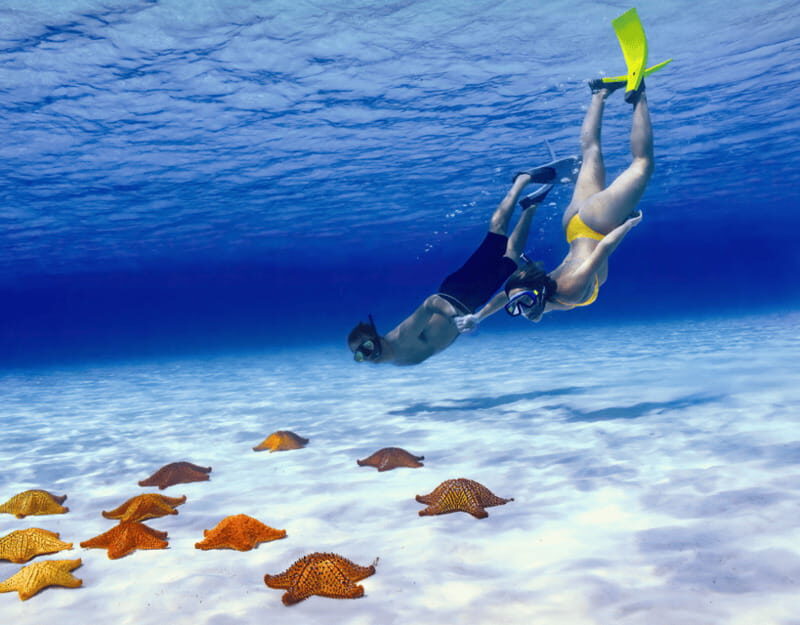 Cozumel: Private Snorkel Tour El Cielo + 3 Reefs Food Drinks - Who Will Love This Tour?