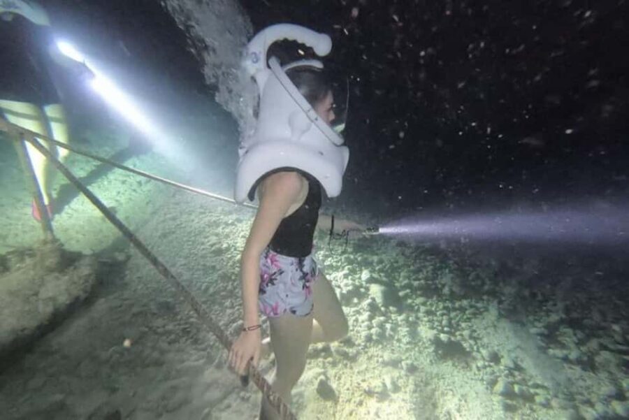 Cozumel: Sea Trek Underwater Night Dive Experience - The Experience in Detail