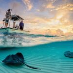 Cozumel Snorkel Experience! El Cielo Beach & Reef from Tulum City - What’s Included and Whats Not