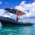 Cozumel Snorkel Nature Experience! Transportation from Cancun & Playa Del Carmen - Transport & Group Size