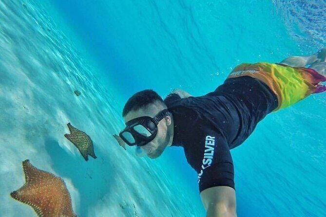 Cozumel Snorkeling Experience! El Cielo Reef from Cancun & Playa del Carmen - FAQs