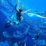 Cozumel: snorkeling on reefs + visit to "El Cielo" - Deep Dive into the Details