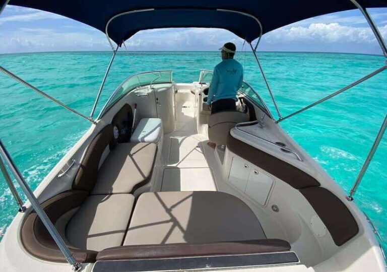 Cozumel: Snorkeling Tour at El Cielo Beach - A Closer Look at the Itinerary