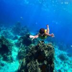 Cozumel: Transparent bottom boat tour and snorkeling activity. - What travelers say