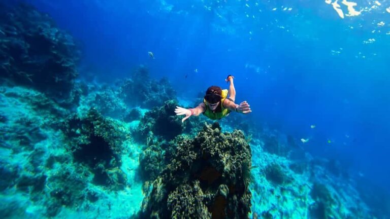 Cozumel: Transparent bottom boat tour and snorkeling activity. - What travelers say