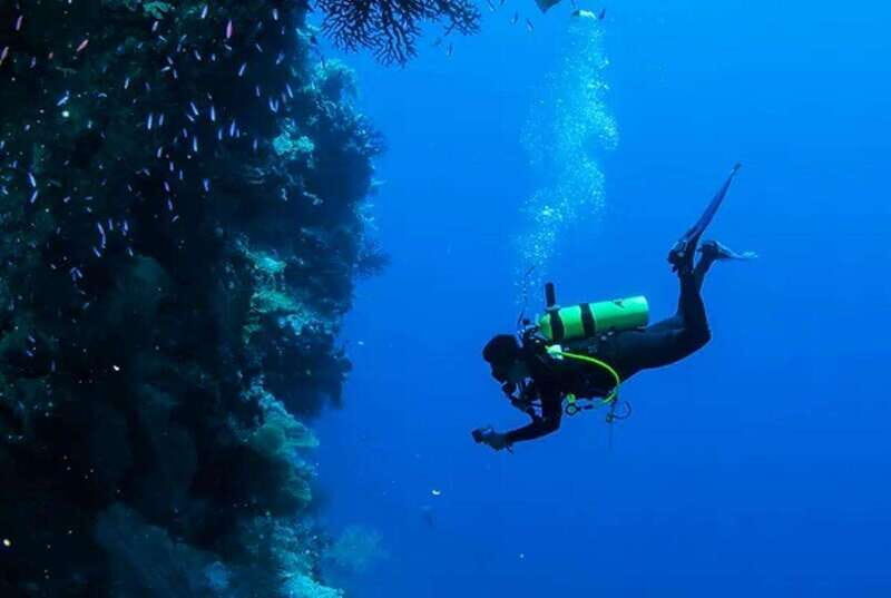 Cozumel: Twilight and Night Dive for Certified Divers - Whats Included and Whats Not