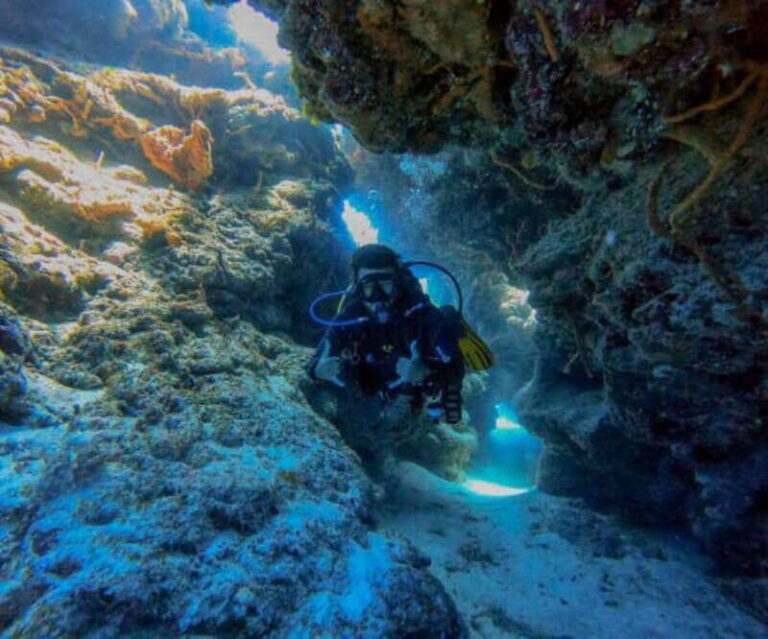 Cozumel: Two reef dives in Marine Park, certified divers - Pricing and Value